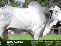 Lote 57