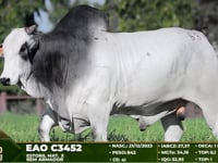 Lote 63