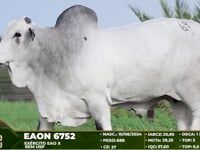 Lote 69