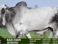 Lote 72