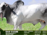 Lote 76