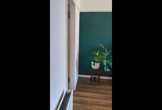 Searching for a flat buddy - double room Main Photo