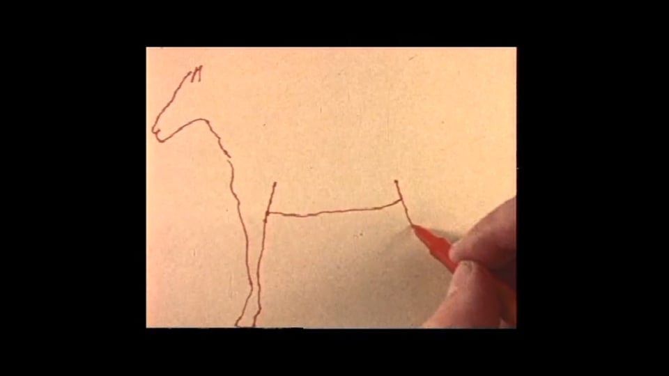 Horseplay