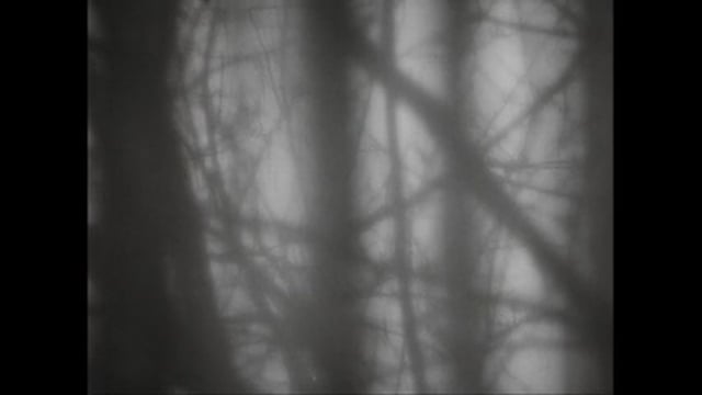 Still 2