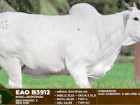 ASP 3912