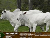 ASP 8722