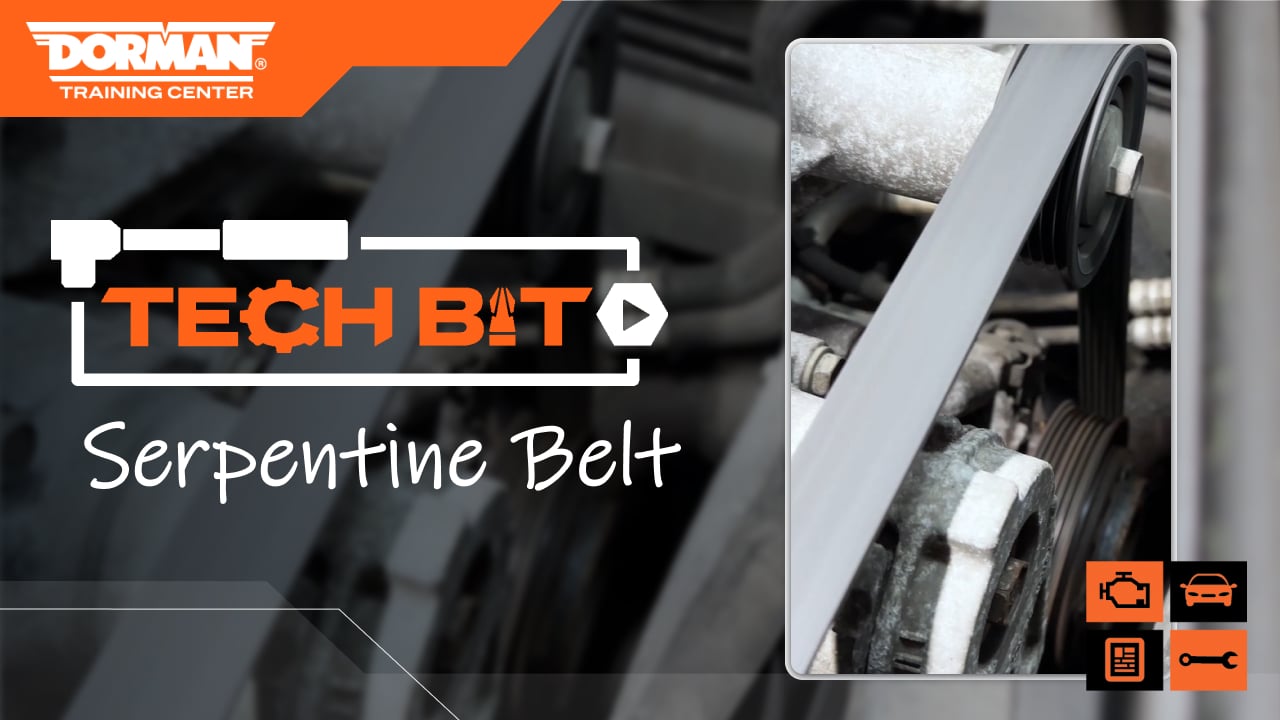 Serpentine Belt | DTC Tech Bit