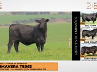 Lote 05