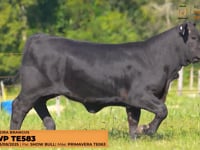 Lote 21