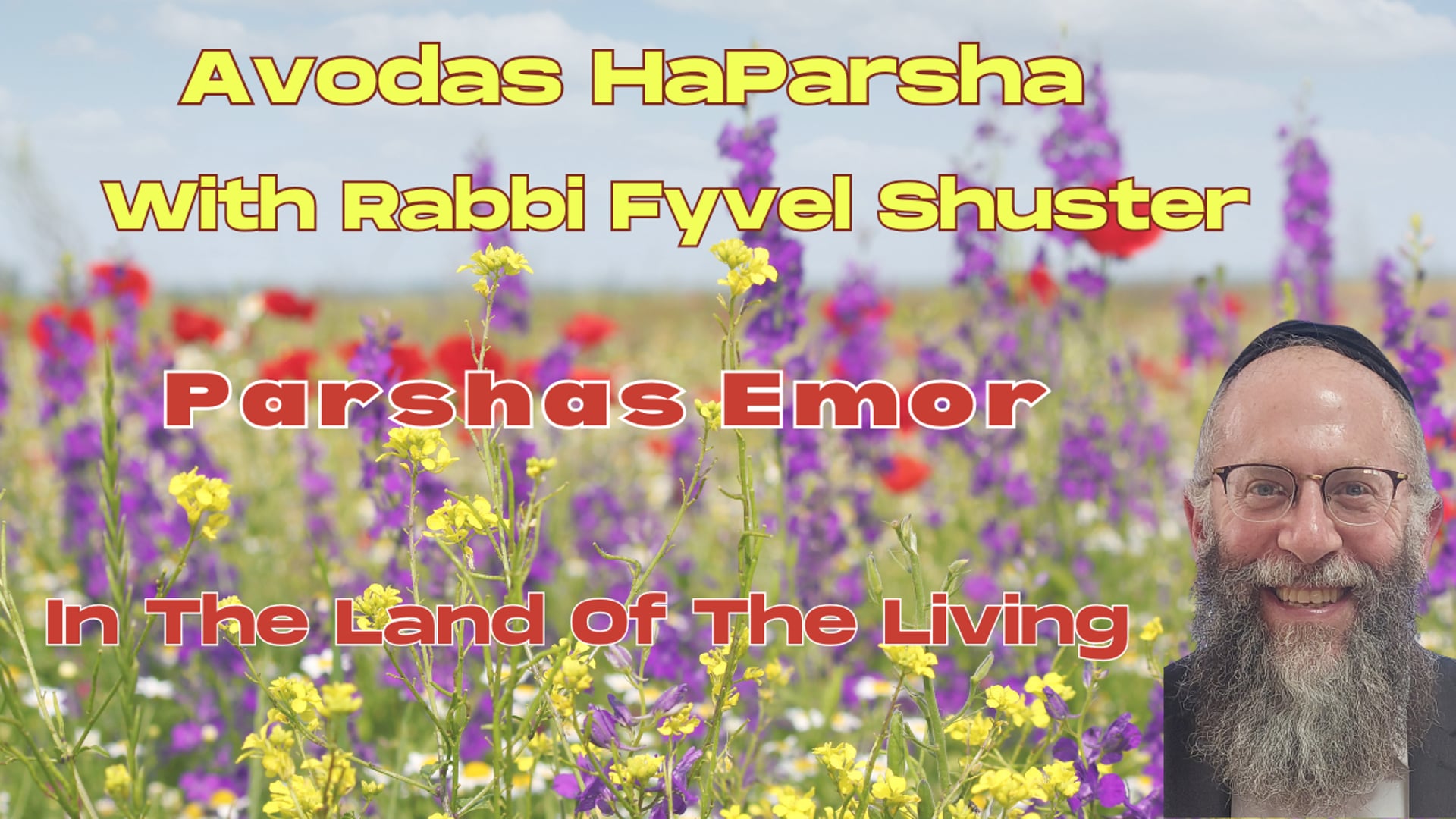 In The Land Of The Living - Avodas HaParsha - Parshas Emor