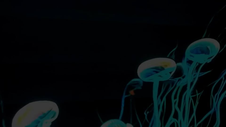 AstraZeneca 360 LED