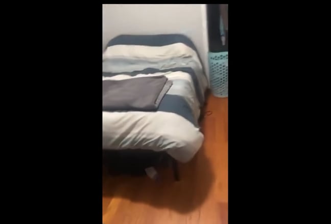 1 BR in Bushwick  Main Photo