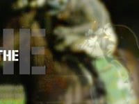 Private Harry - New to Yulong in 2026