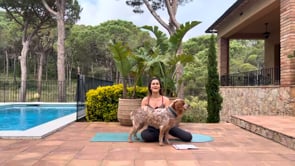 Related Embedded Video Item Thumbnail