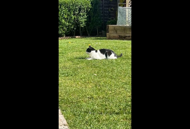 Hi there, I am currently looking for a room t... Main Photo