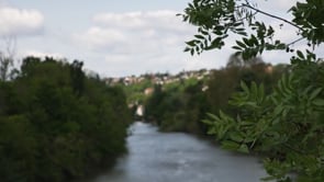 Arts de la table : la relève