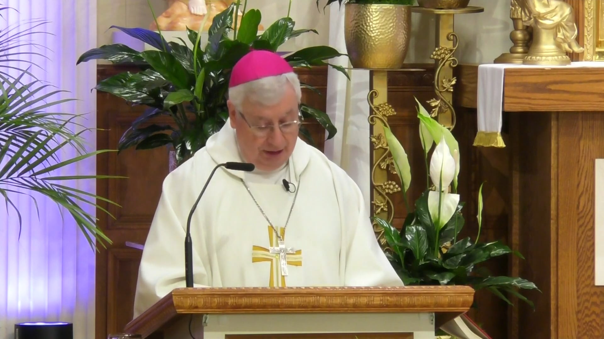 Misa de Nuestra Senora de Loretto - 29 de Abril de 2026