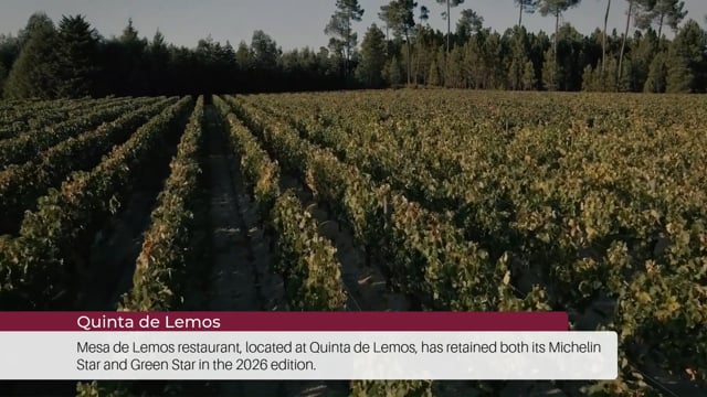 EP 86 | Wine Tourism News