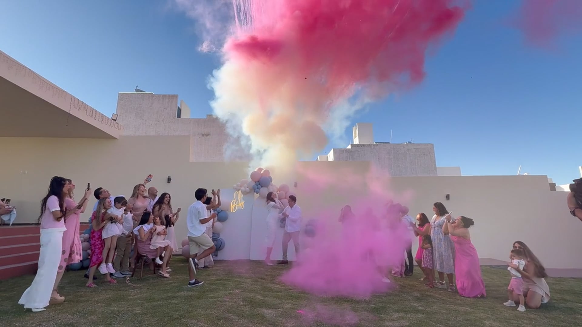 GENDER REVEAL