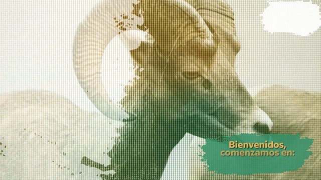 Sesión de Consejo Técnico de Investigación para la designación de Director del Instituto de Investigaciones Oceanológicas.