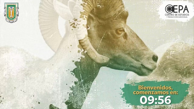 Presentación de terna de aspirantes a Director del Instituto de Investigaciones Oceanológicas.