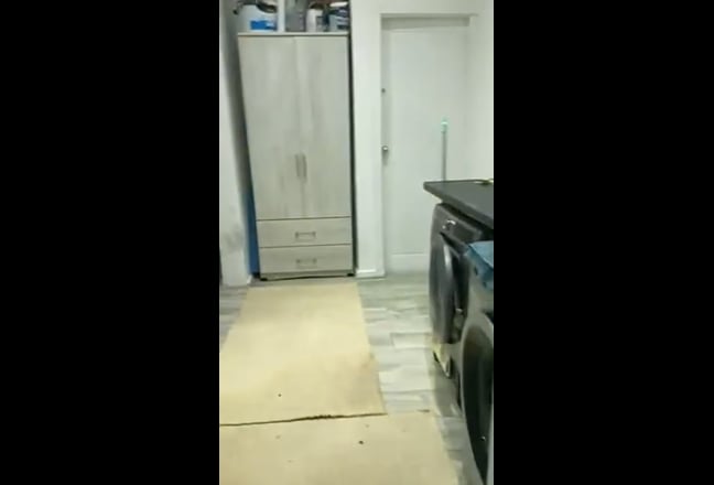 Wow - Brand New Studio Fully Refurbished Main Photo