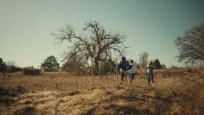 Related Embedded Video Item Thumbnail