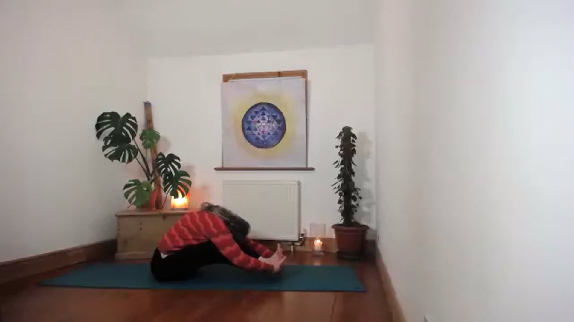 Multilevel wk3 Strengthening the body for everyday life