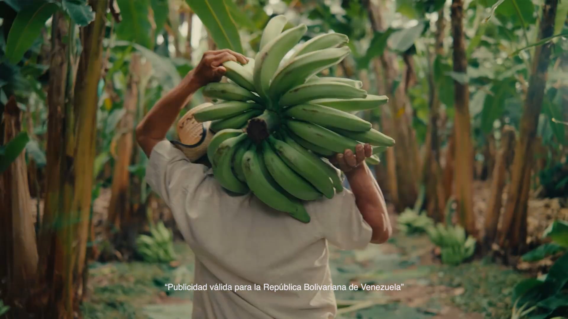 NATUCHIP - DE LA MANO CON LO NATURAL