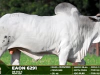 Lote 104