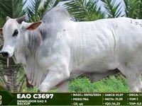Lote 134
