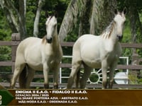 Lote M01