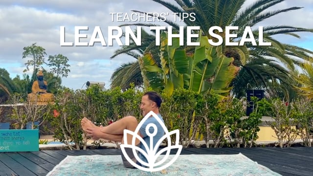NEW! Learn The Seal - Teachers' Tips