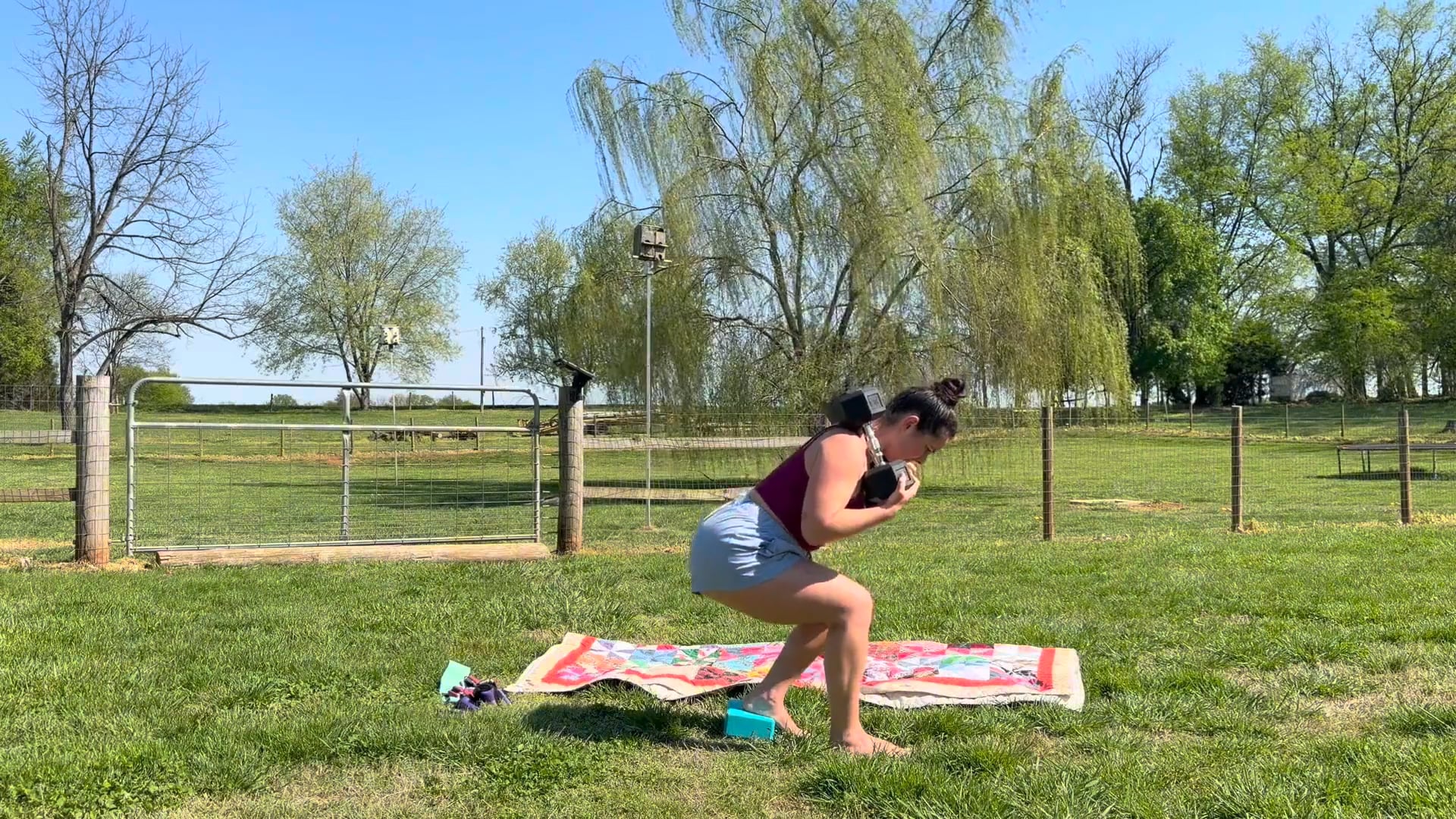 Lower Body (Dumbbells, Block + Ankle Weights) - 86