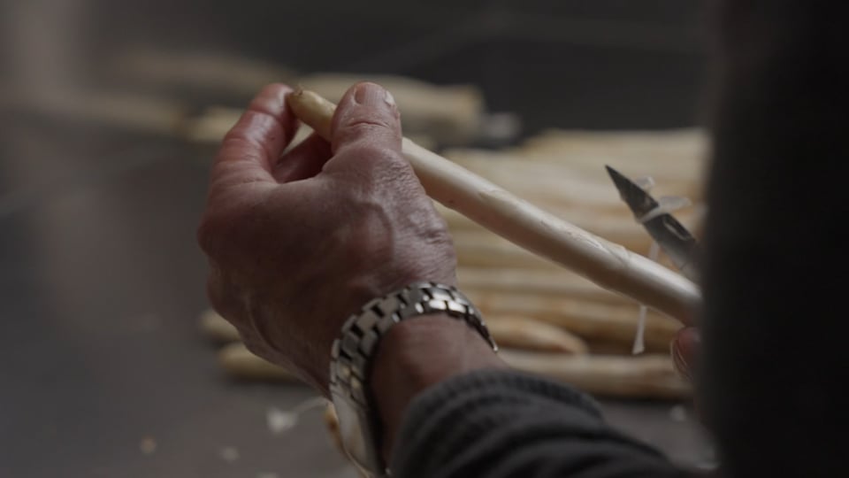Radici di Asparago anteprima video