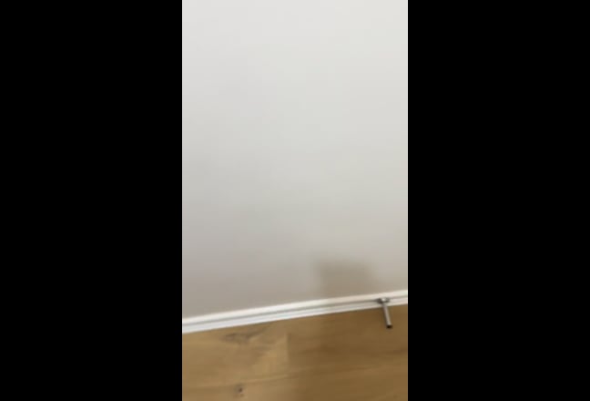 Spacious Room in Modern Pro Flatshare Main Photo