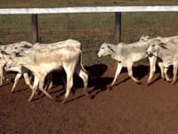 Lote 34A