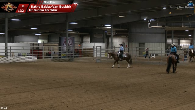 #132 Kathy Babbs-Van Buskirk
