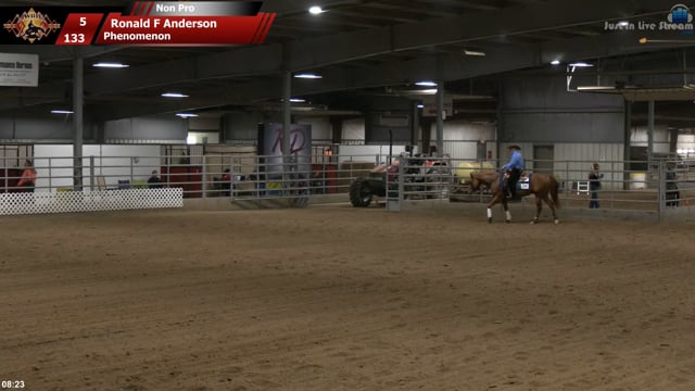 #133 Ronald F Anderson