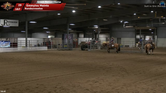 #167 Emmylou Meints