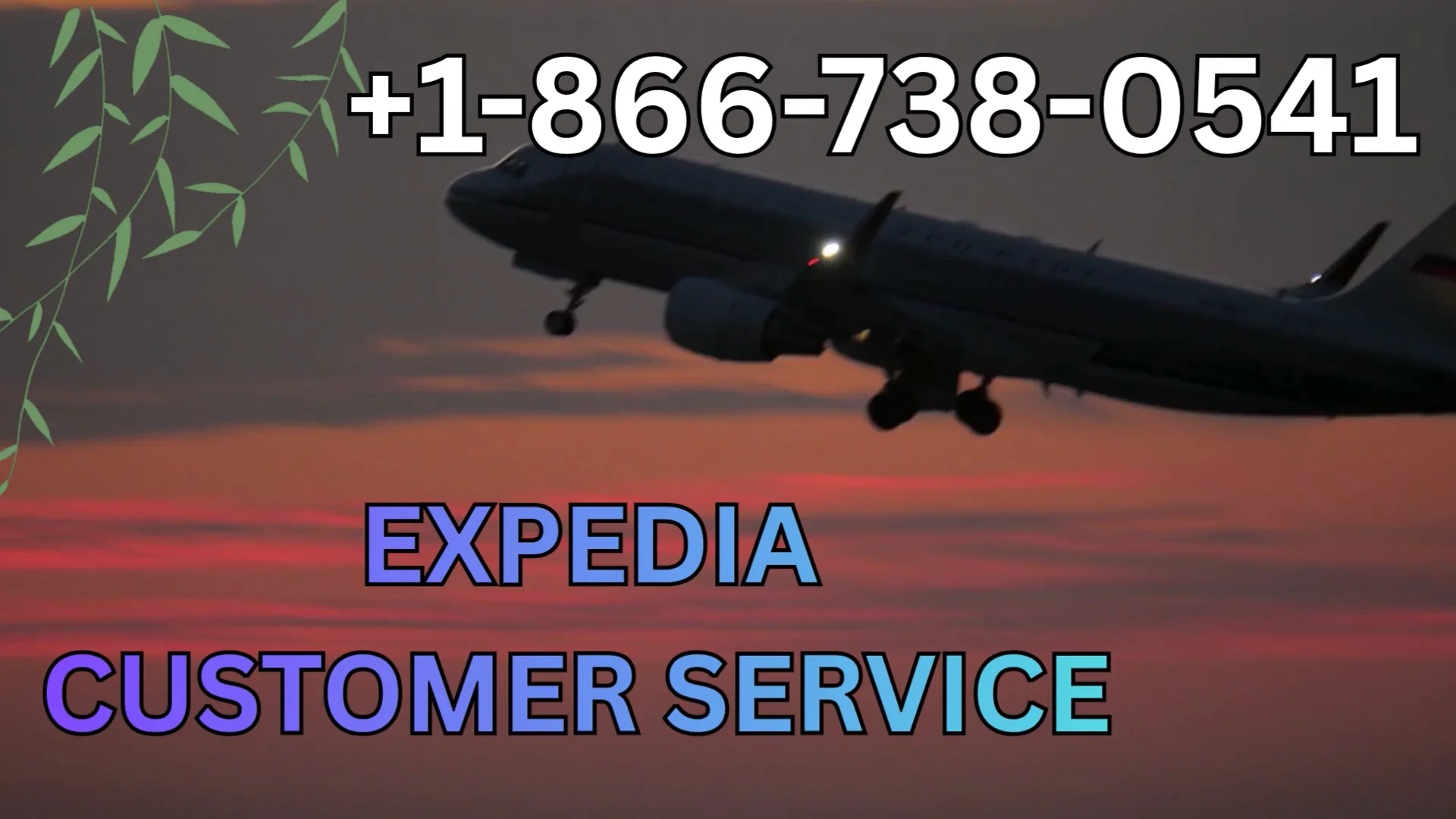 {USA} Complete Guide to Priceline&reg; Customer&trade; Service Numbers in the 24/7 help and Quick Response