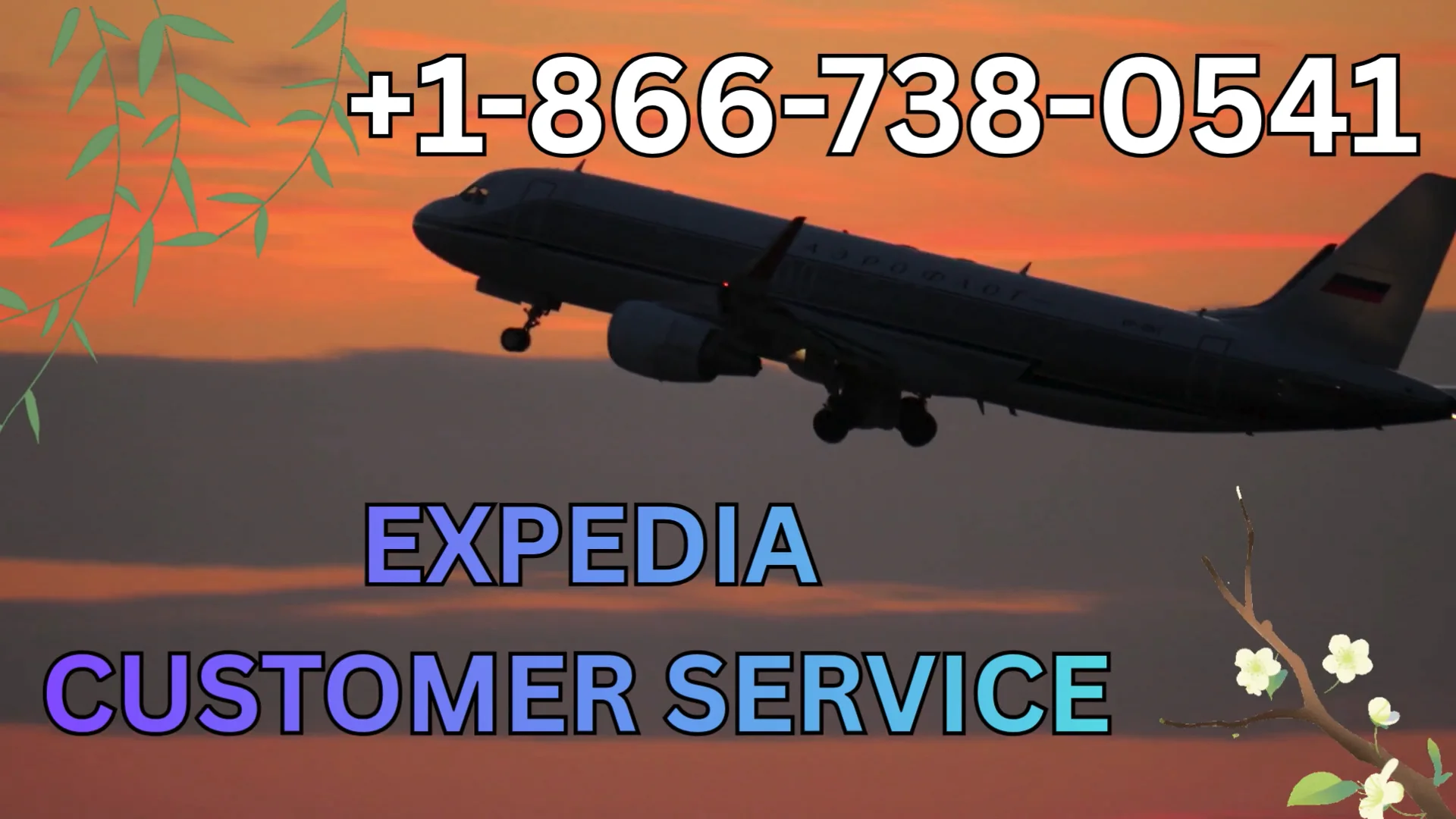{USA} Complete Guide to Priceline&reg; Customer&trade; Service Numbers in the 24/7 help and Quick Response