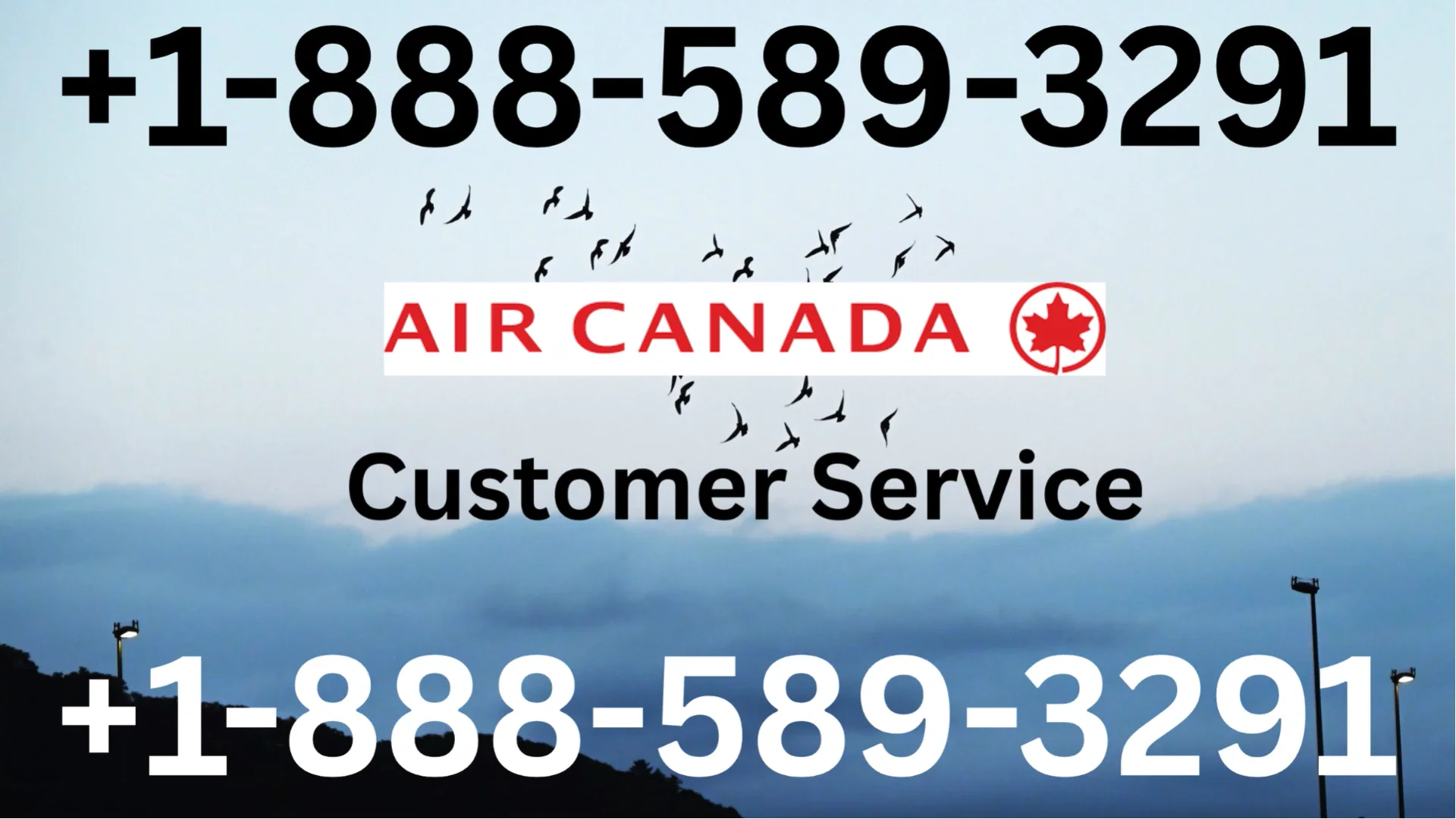 ★Air Canada Airlines&reg;&reg; customer service PHONE Number&reg; By Phone, Chat And Email A Step-by-step Guide★