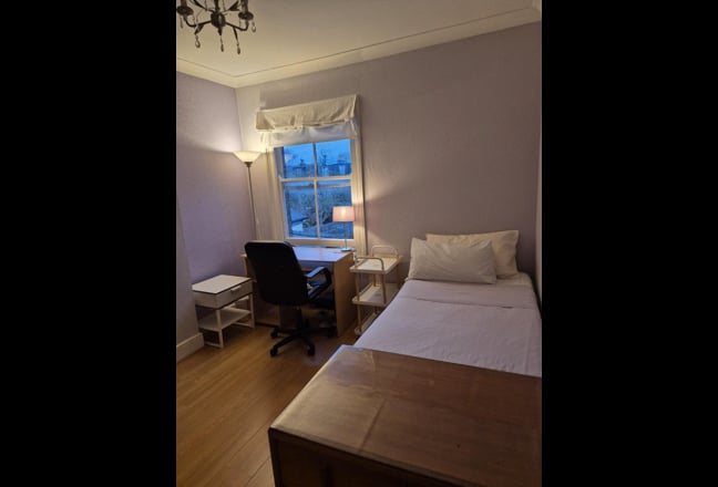 Nice single room available! Main Photo