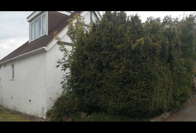  Gorgeous house in leafy Patcham Main Photo
