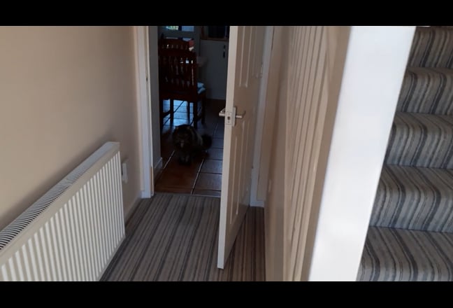 1 double bedroom available in spacious house  Main Photo