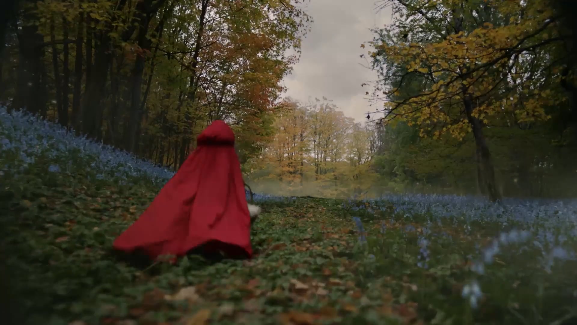 Nature's Own — Little Red Riding Hood