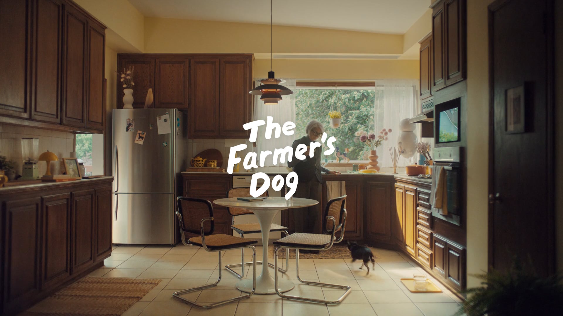 The Farmer's Dog — Longevity & Weight Management