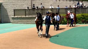 動画サムネイル
