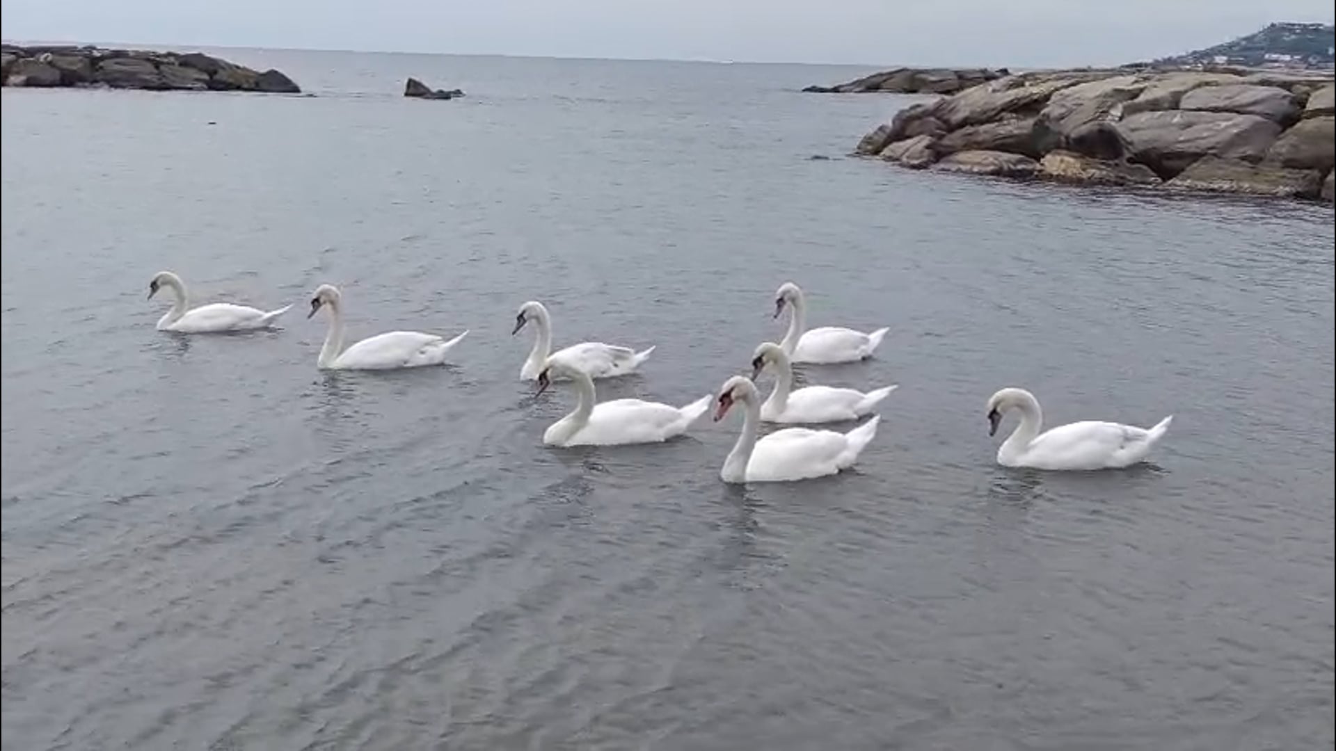 video
